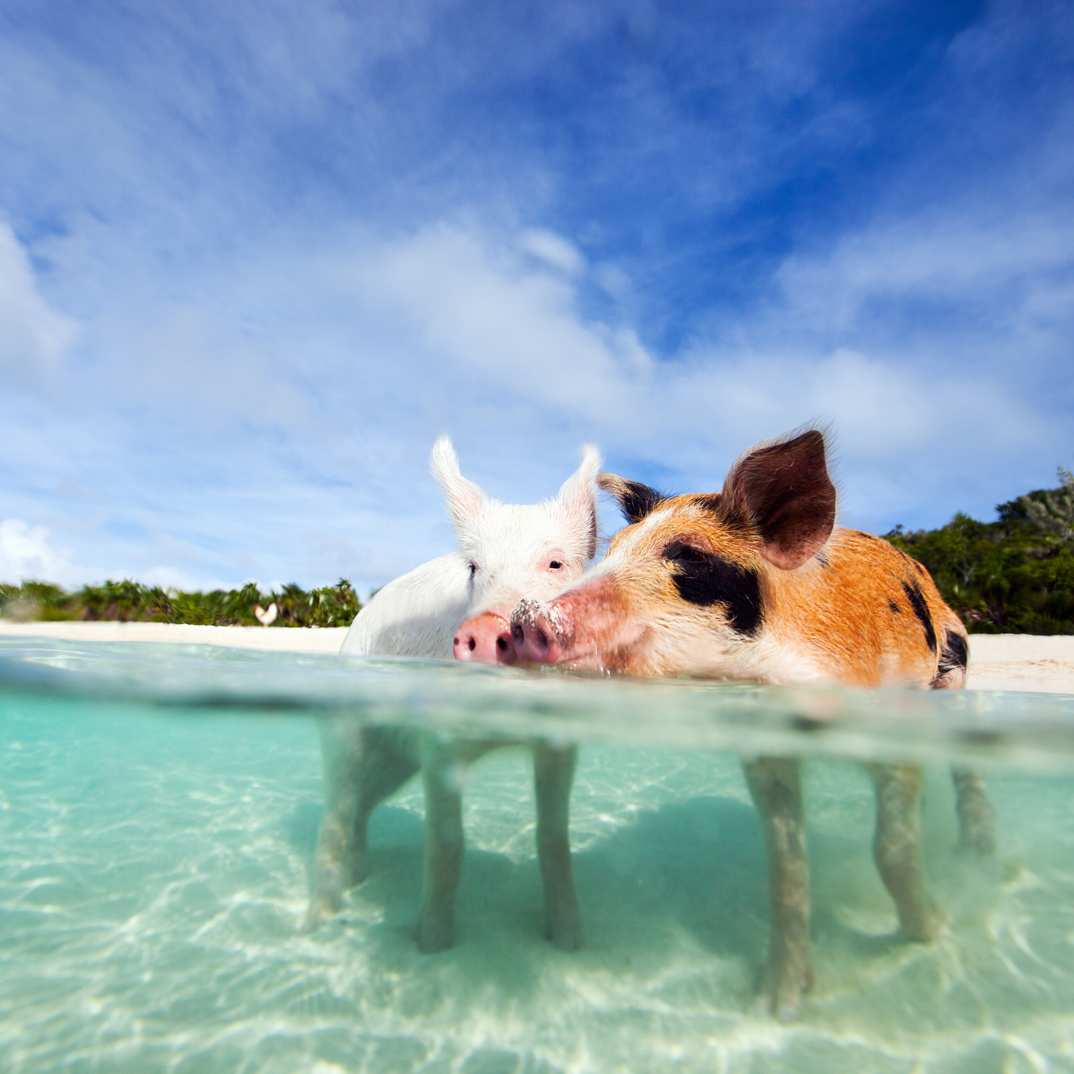 The Exumas, Bahamas