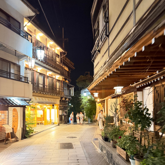 Hidden Japan