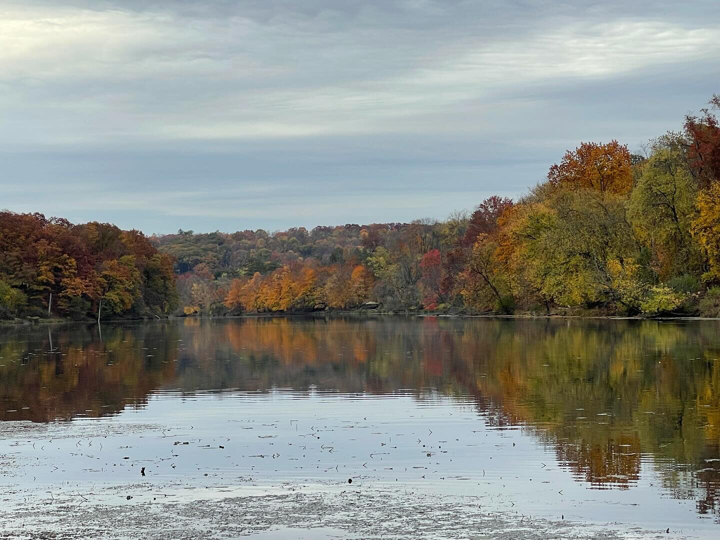Where is your favorite spot to enjoy fall?🍁

#fall #fallcolors #fallvibes #leaves🍁 #october #naturelover #naturephotography #nature #tree #trees #hibernation