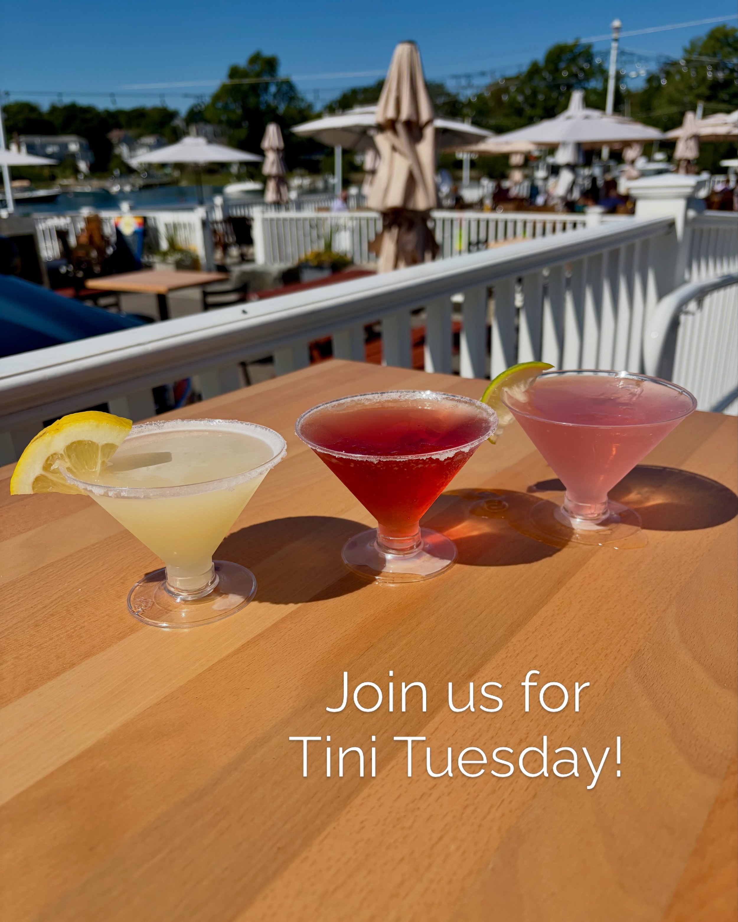 Did someone say Tini Tuesday?🍸Meet us by the harbor, grab a martini, and soak up the rest of this beautiful day at @oldesalthouse ☀️