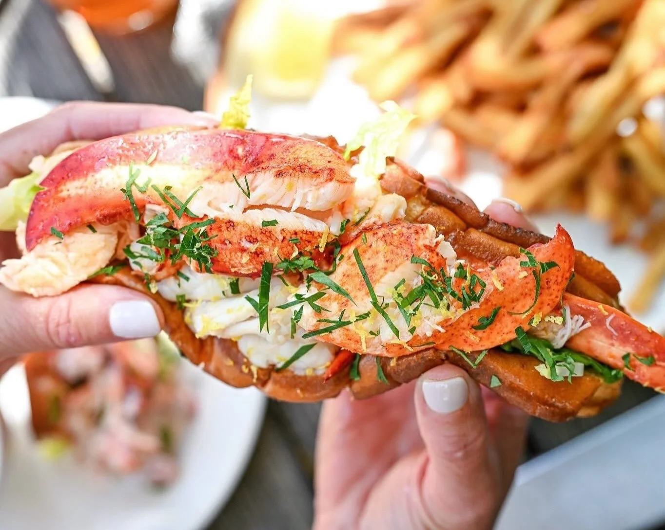 Thursdays are better with a lobster roll in hand 🦞 

📸: @zoestonerphotography_