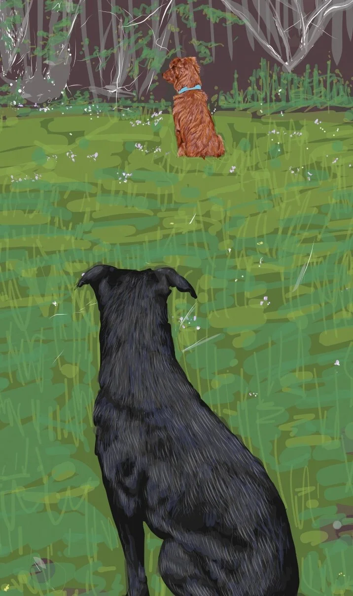 BBB8461A-4340-4919-8A93-ABFFC8B91D10