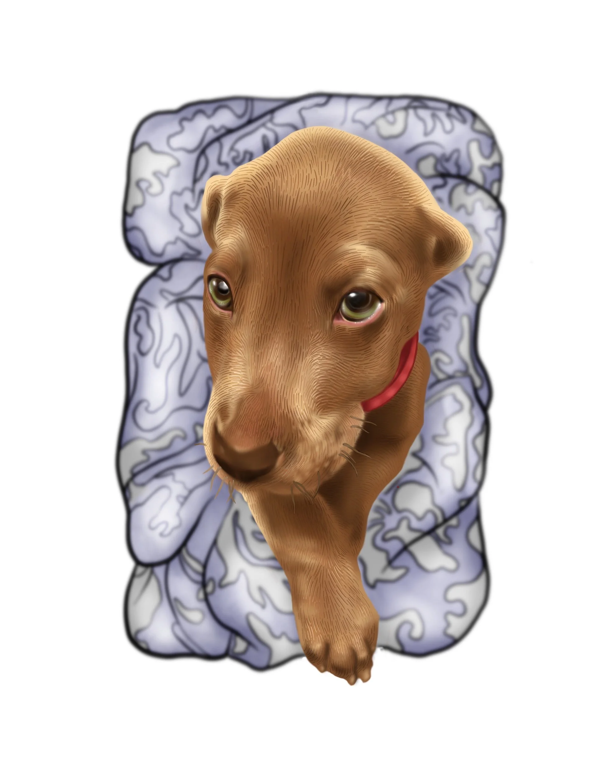 9AA685A3-B2D4-4932-898A-1066E15118D3