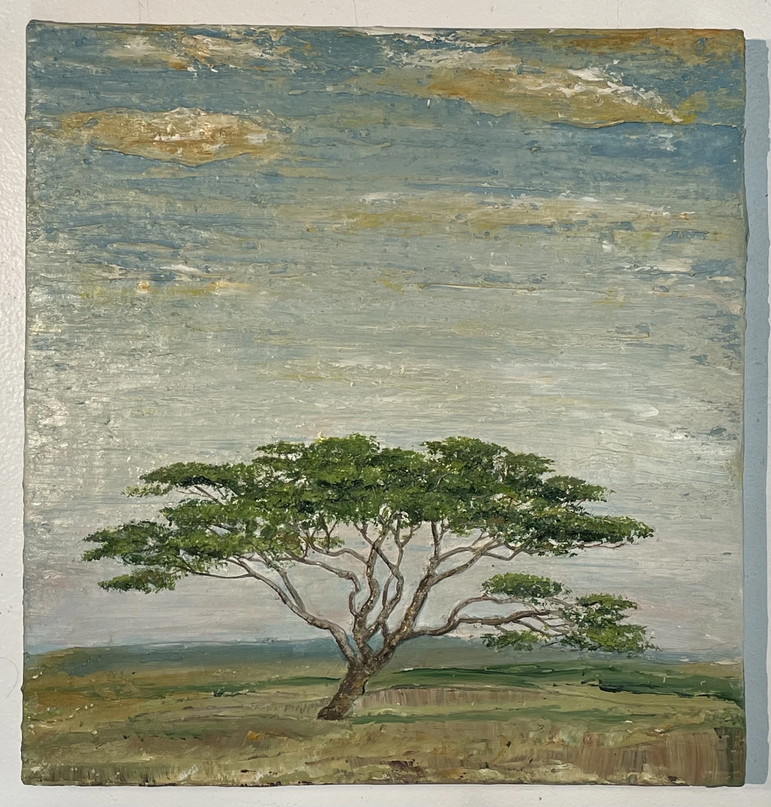 Windswept.       26” wide x 24” high