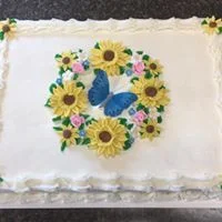 butterfly cake.jpg
