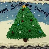 christmas cake.jpg