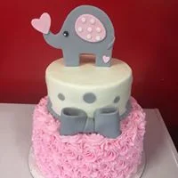cutest elep cake.jpg