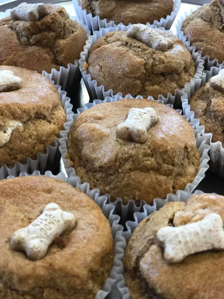 dog cupcakes.jpg