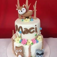 forest cake 2.jpg
