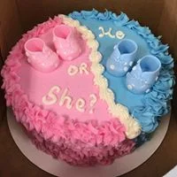gender reveal.jpg