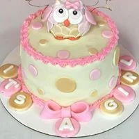 owl cake 2.jpg
