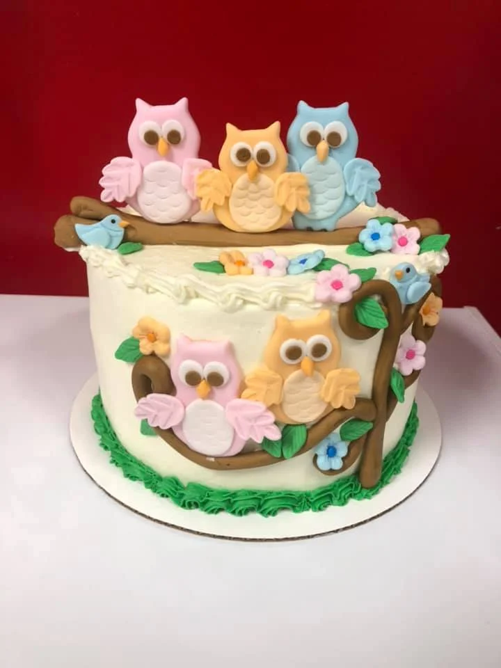 owl cake use.jpg