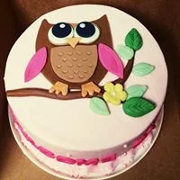 owl cute cake.jpg