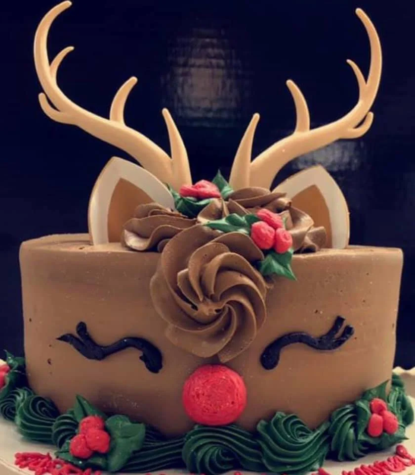 rudolf cake.jpg