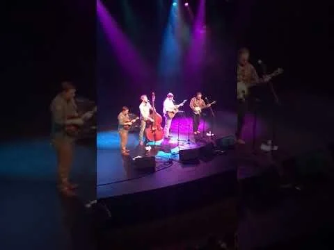 Midnight Moonlight at Grass in the Hall