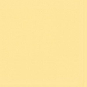 Superior Seamless Paper Roll- Buff 18