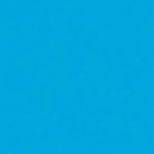 Superior Seamless Paper Roll- Nassau 06