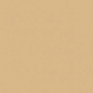 Superior Seamless Paper Roll- Beige 25