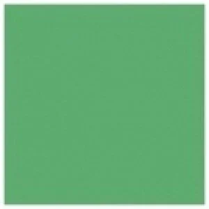 Superior Seamless Paper Roll- Mint 31