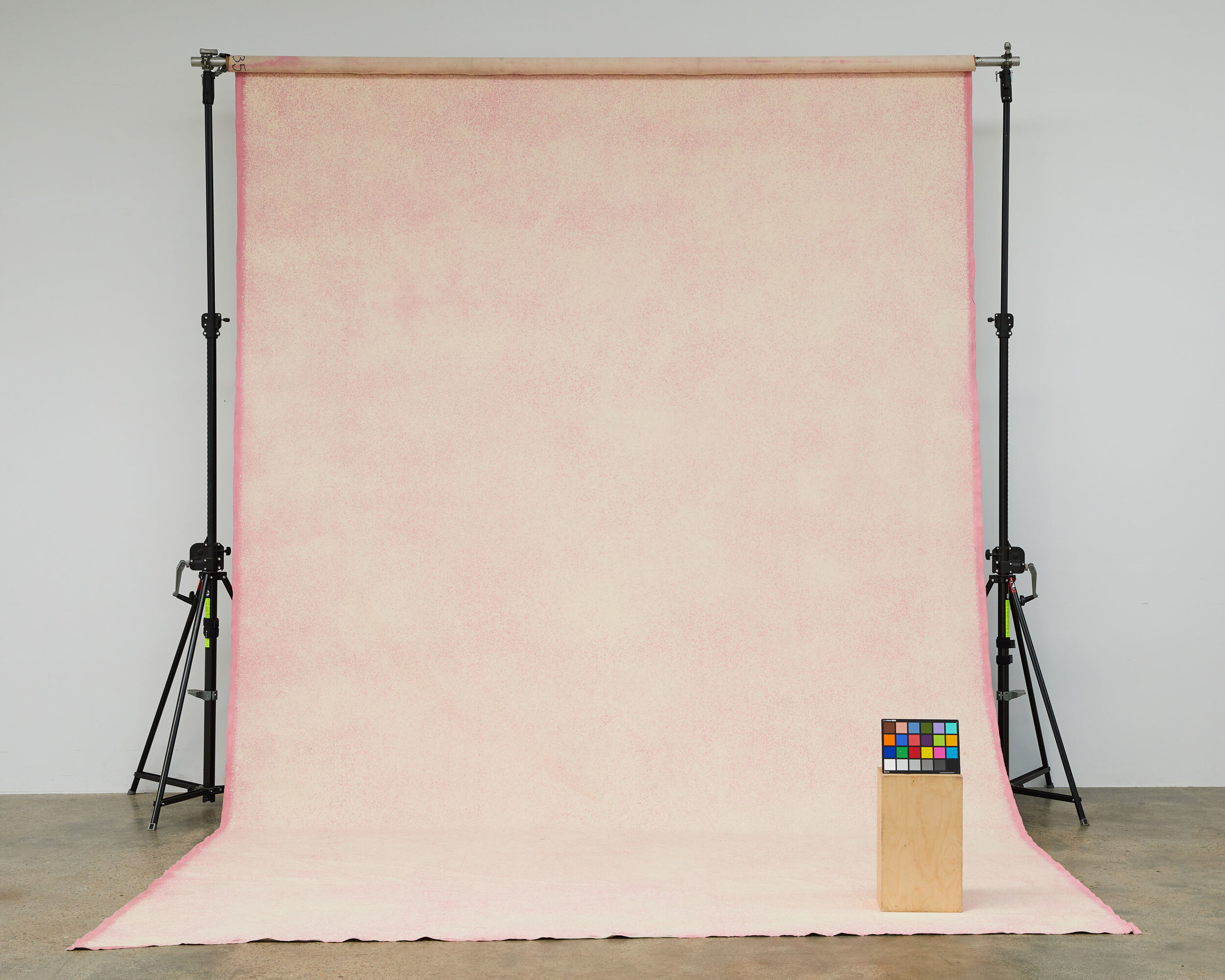 SCHMIDLI CANVAS BACKDROP - Pink, Light, Warm - 12' X 20 Catalogue #1835