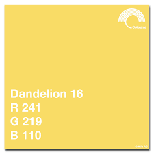 Colorama Seamless 9' Paper Roll - Dandelion 16