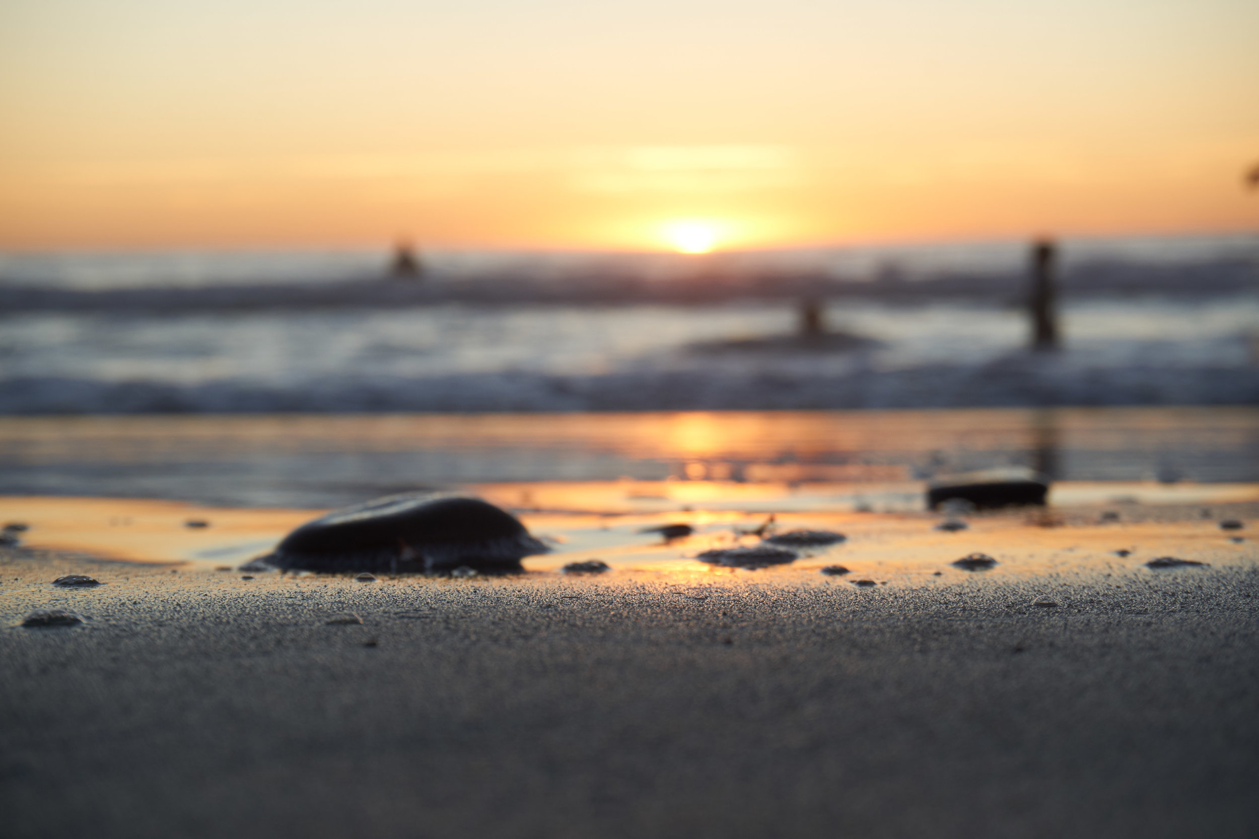Pebbles at Sunset, Silverstrand State Beach, California