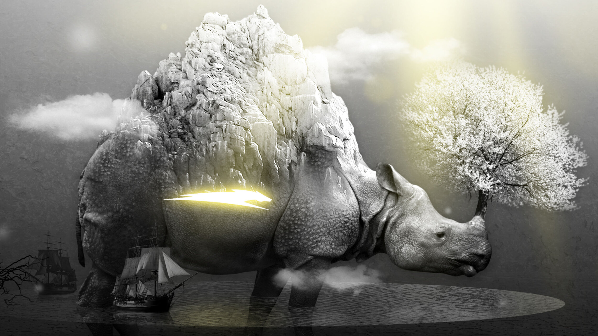 rhino HD wallpapers backgrounds