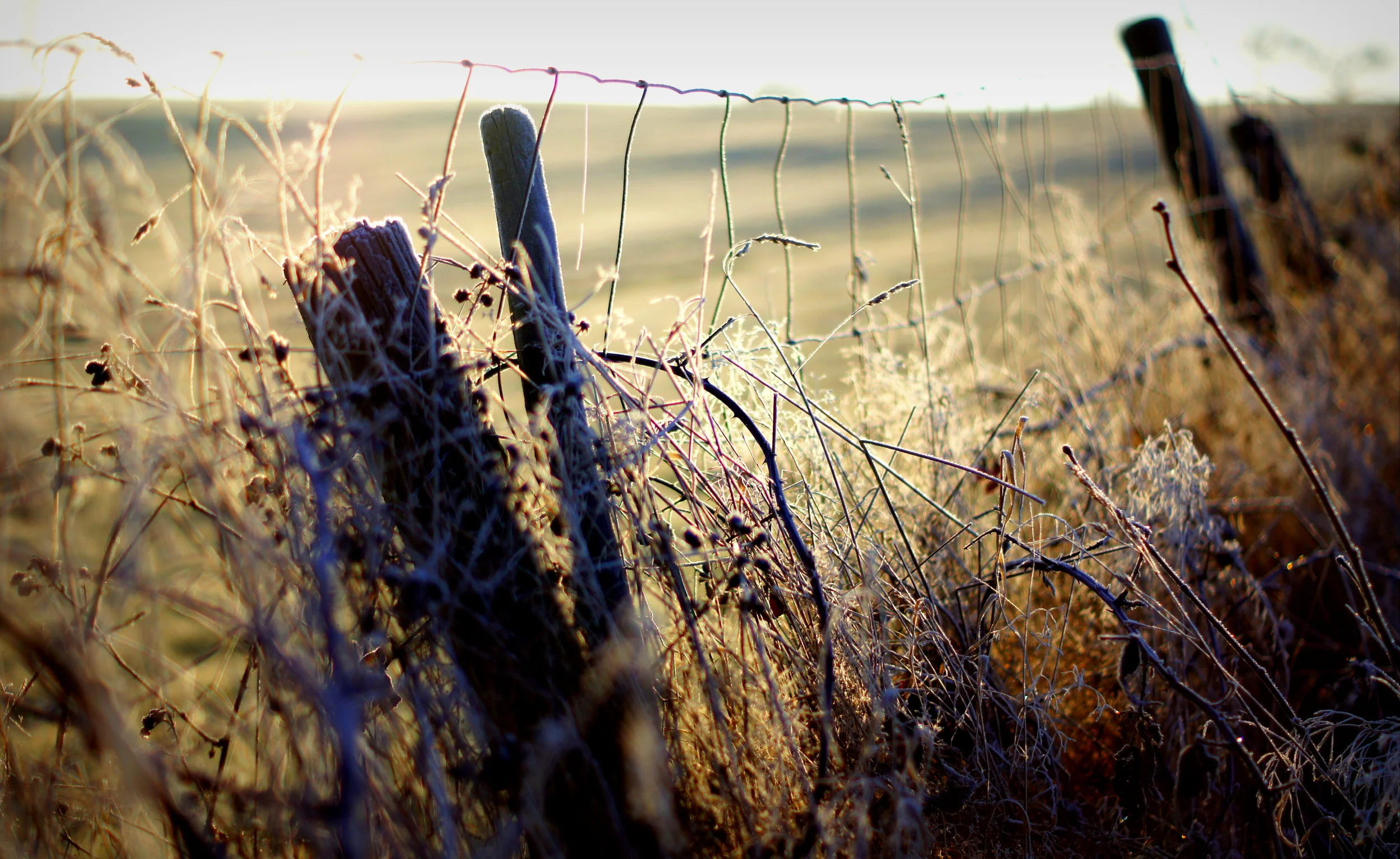 Standing on the promises (reflection on Joshua 18-19)