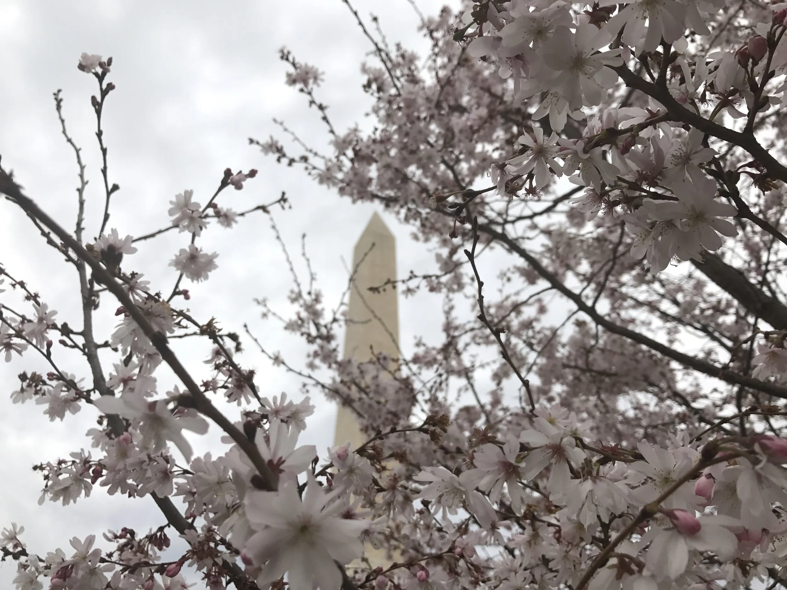 January - February Rundown