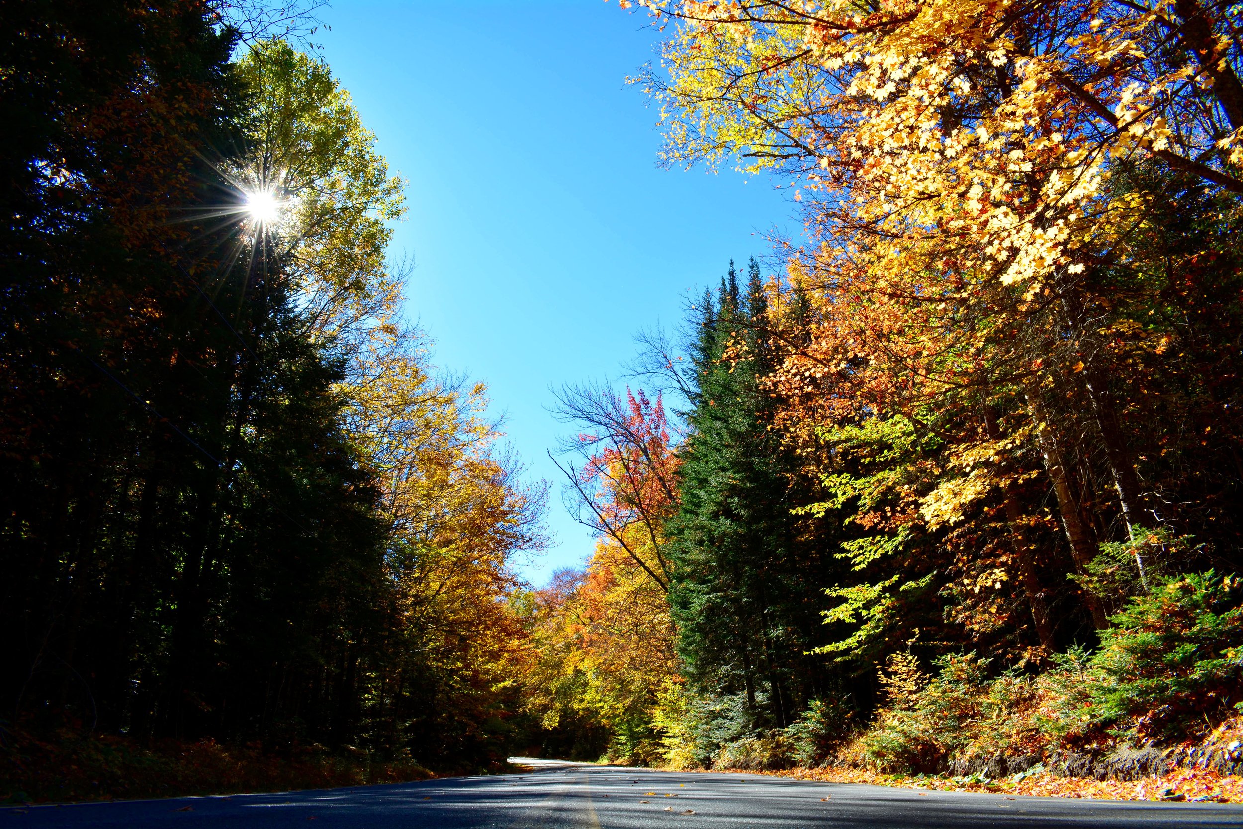 A Road Trip through New England’s Autumnal Wonderland