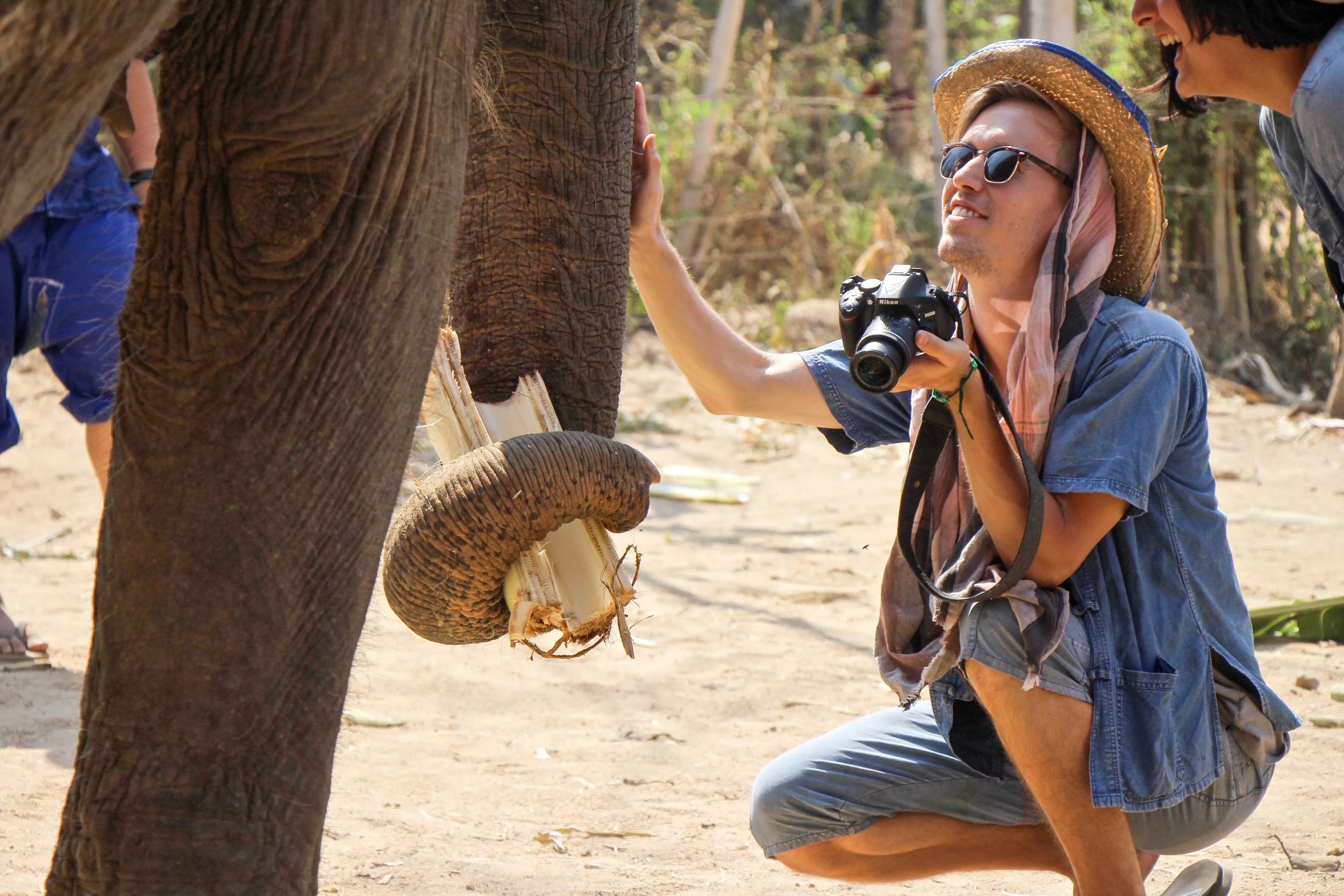 Pad Thai, Elephants, Flight Changes, Oh My