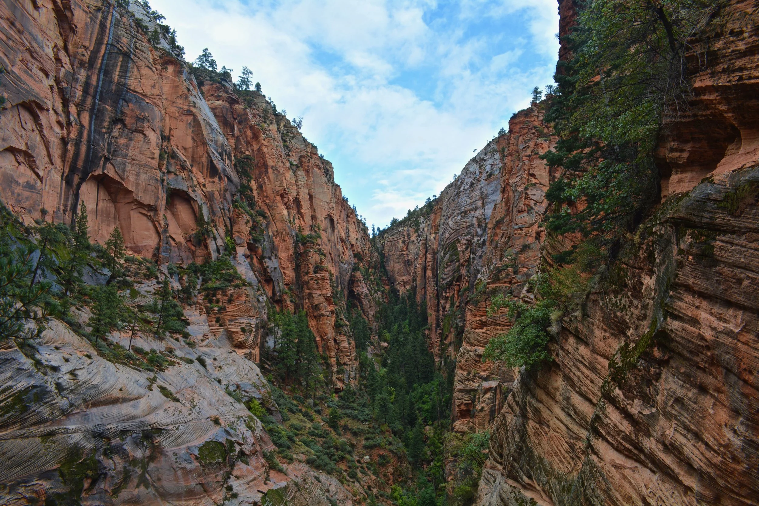 A Weekend Getaway In Your Own Backyard