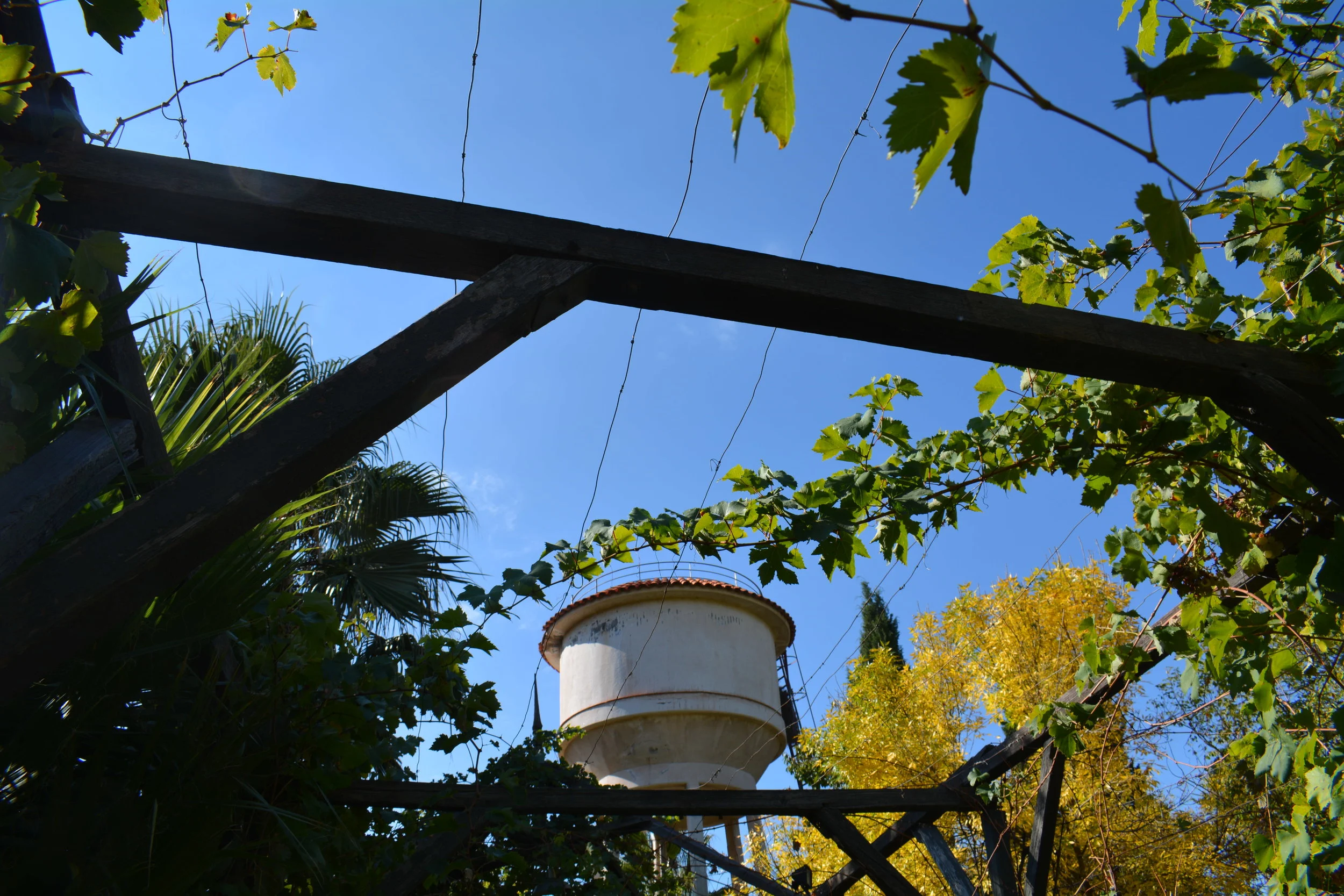 Beautifully Amazed in Buenos Aires.