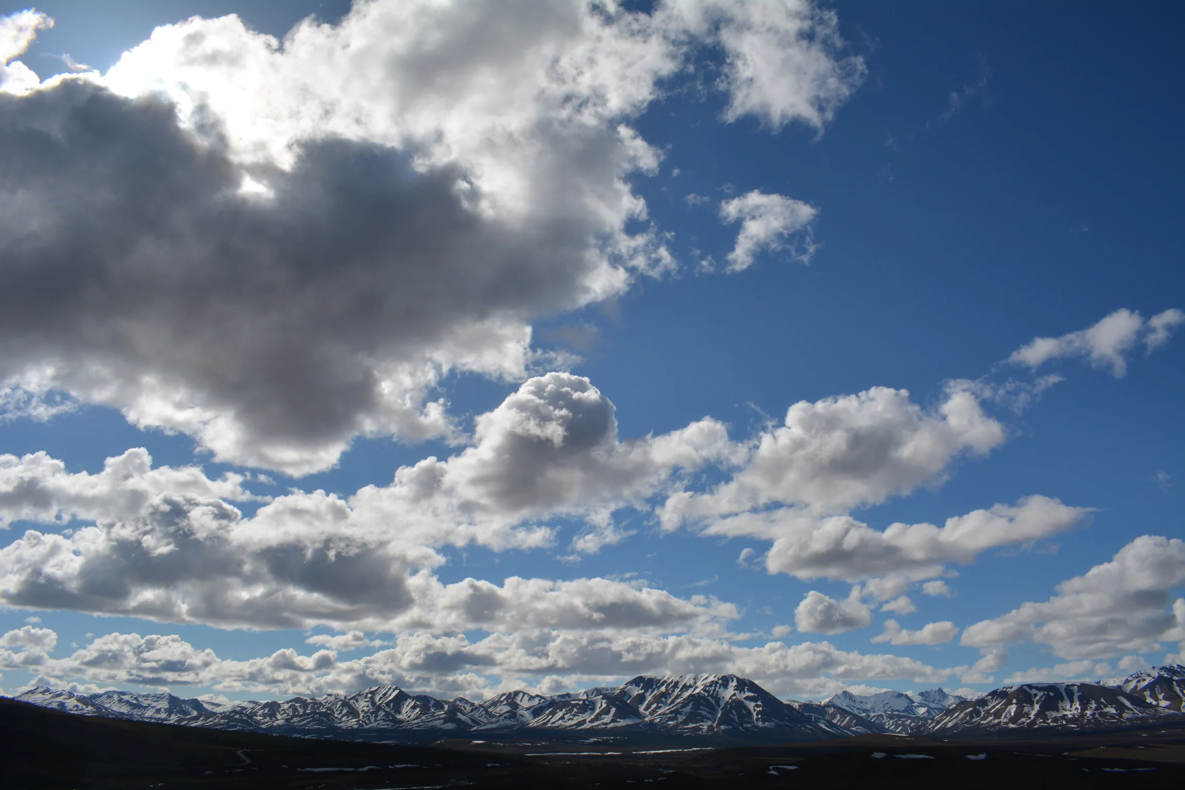 DSC_0666.jpg