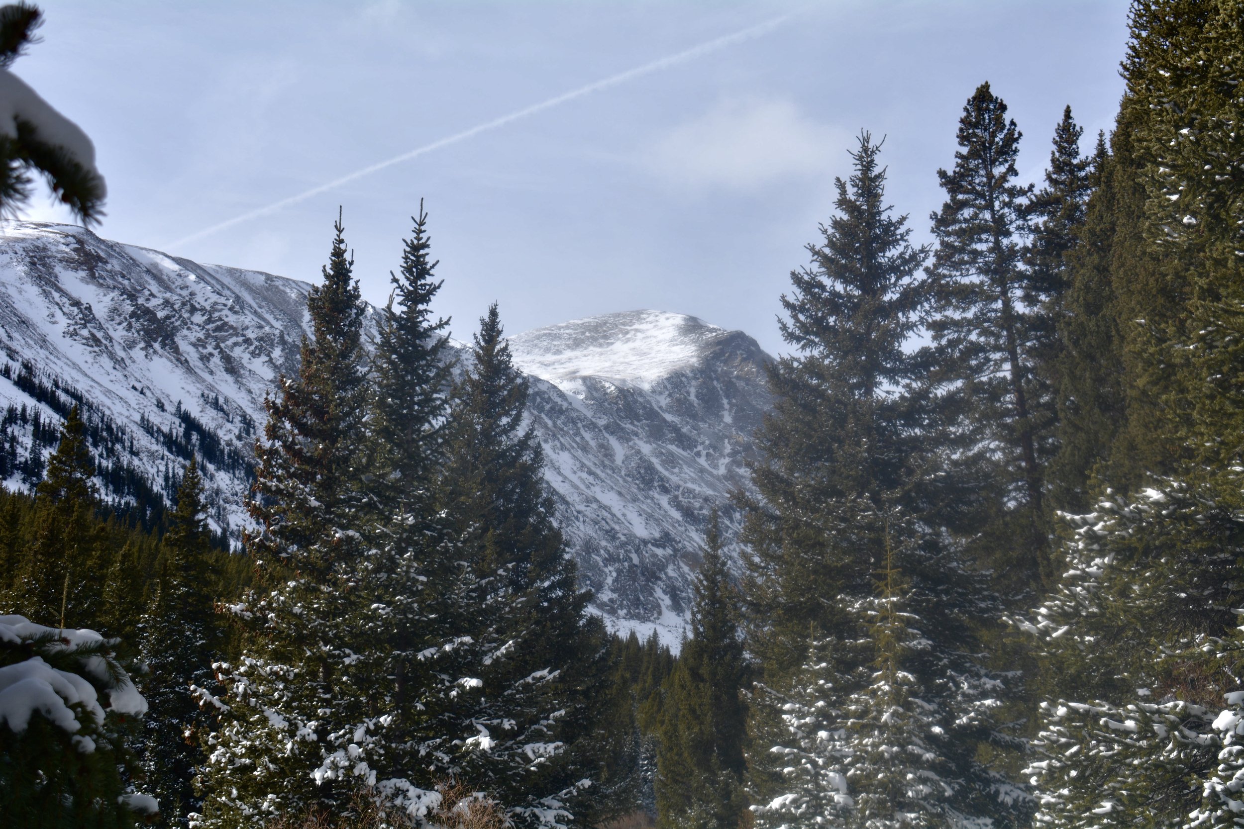 DSC_0875.jpeg