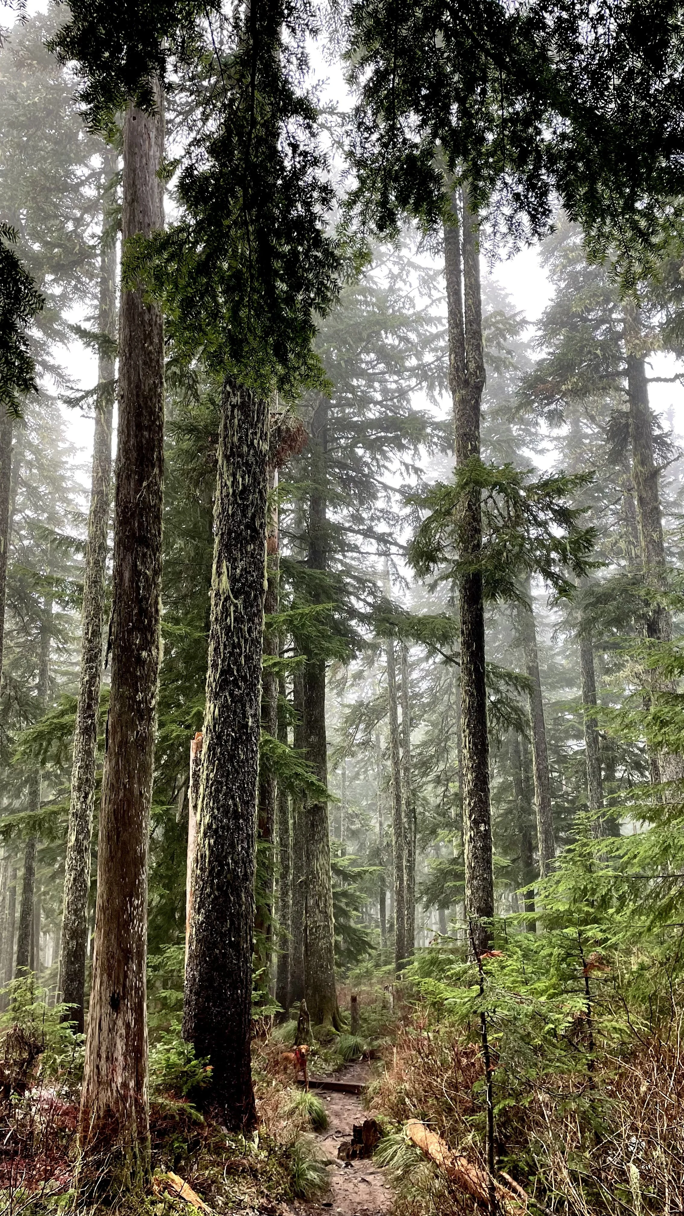 Rain rain, go away...