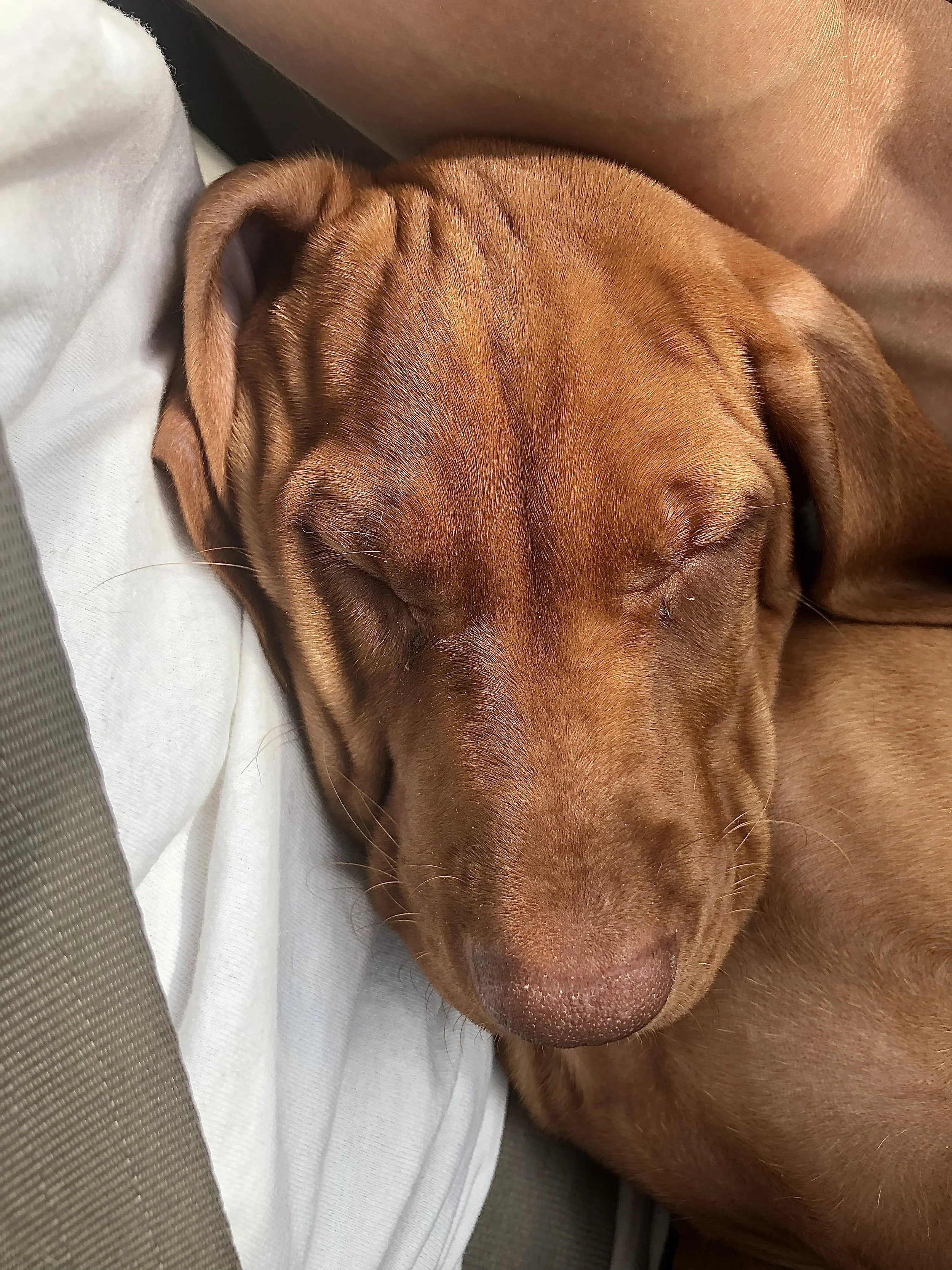 The Story Behind the Photo