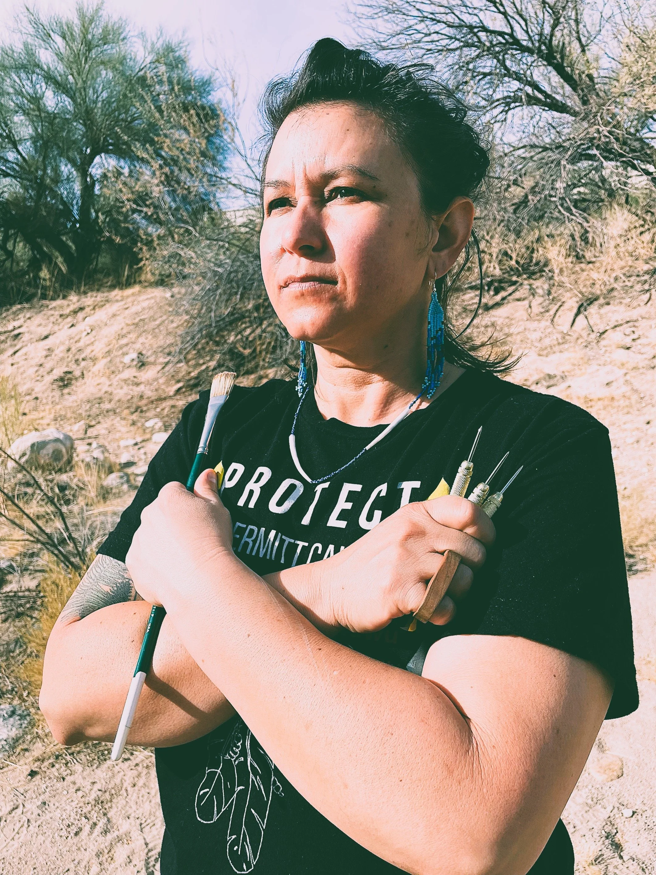 Pima Solanas Project.jpg