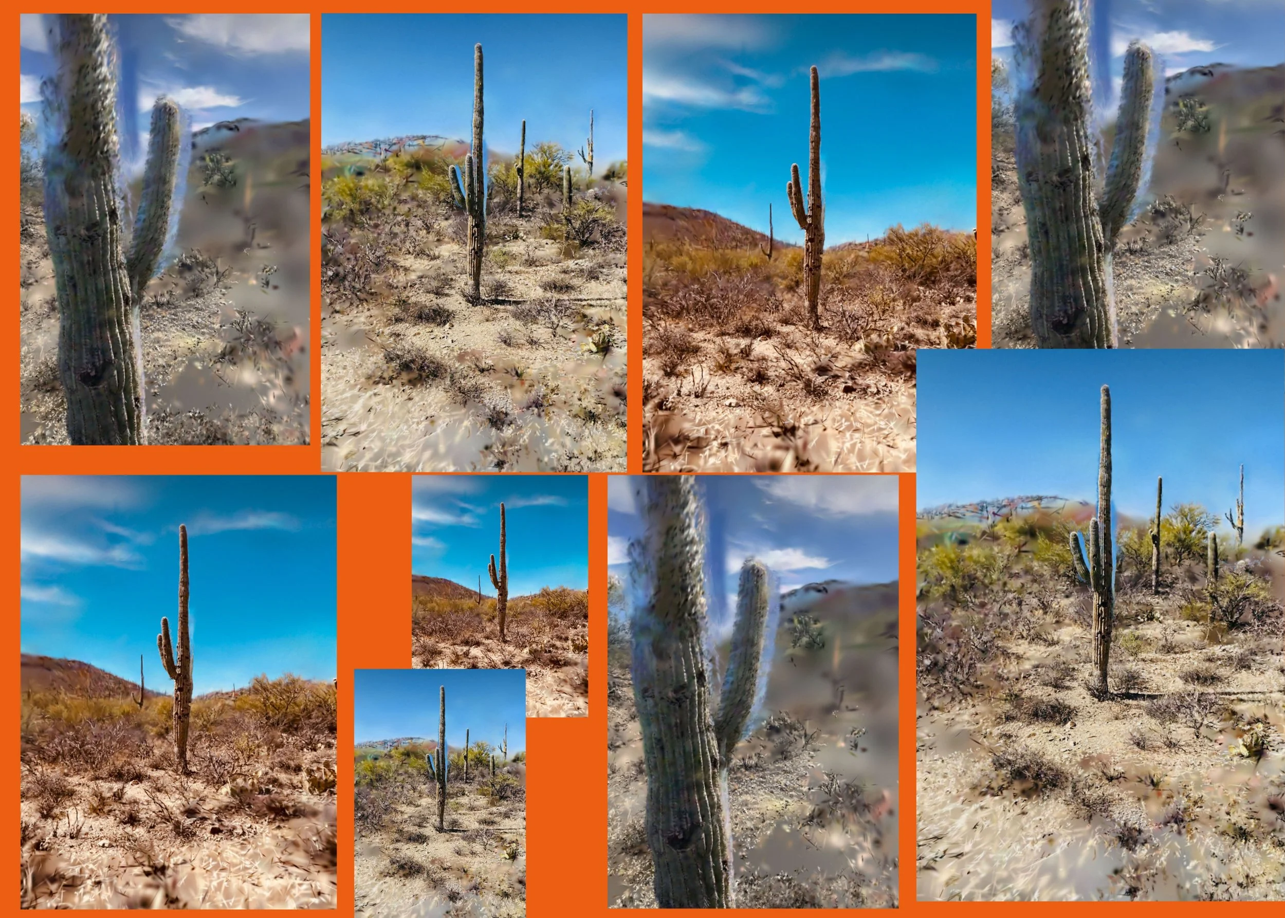 Cactus Wallpaper.jpg