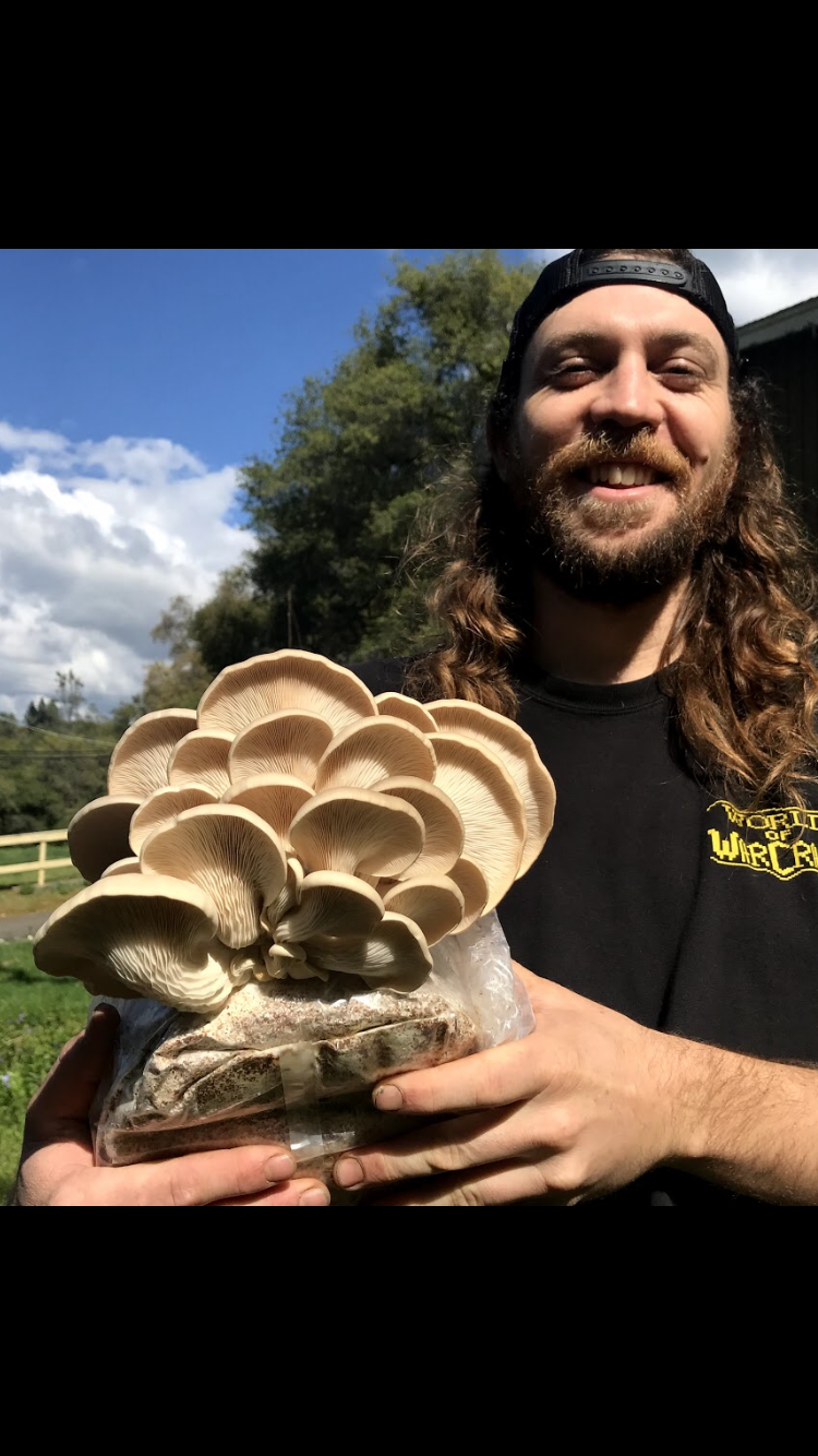 How to make mushroom growing straw blocks