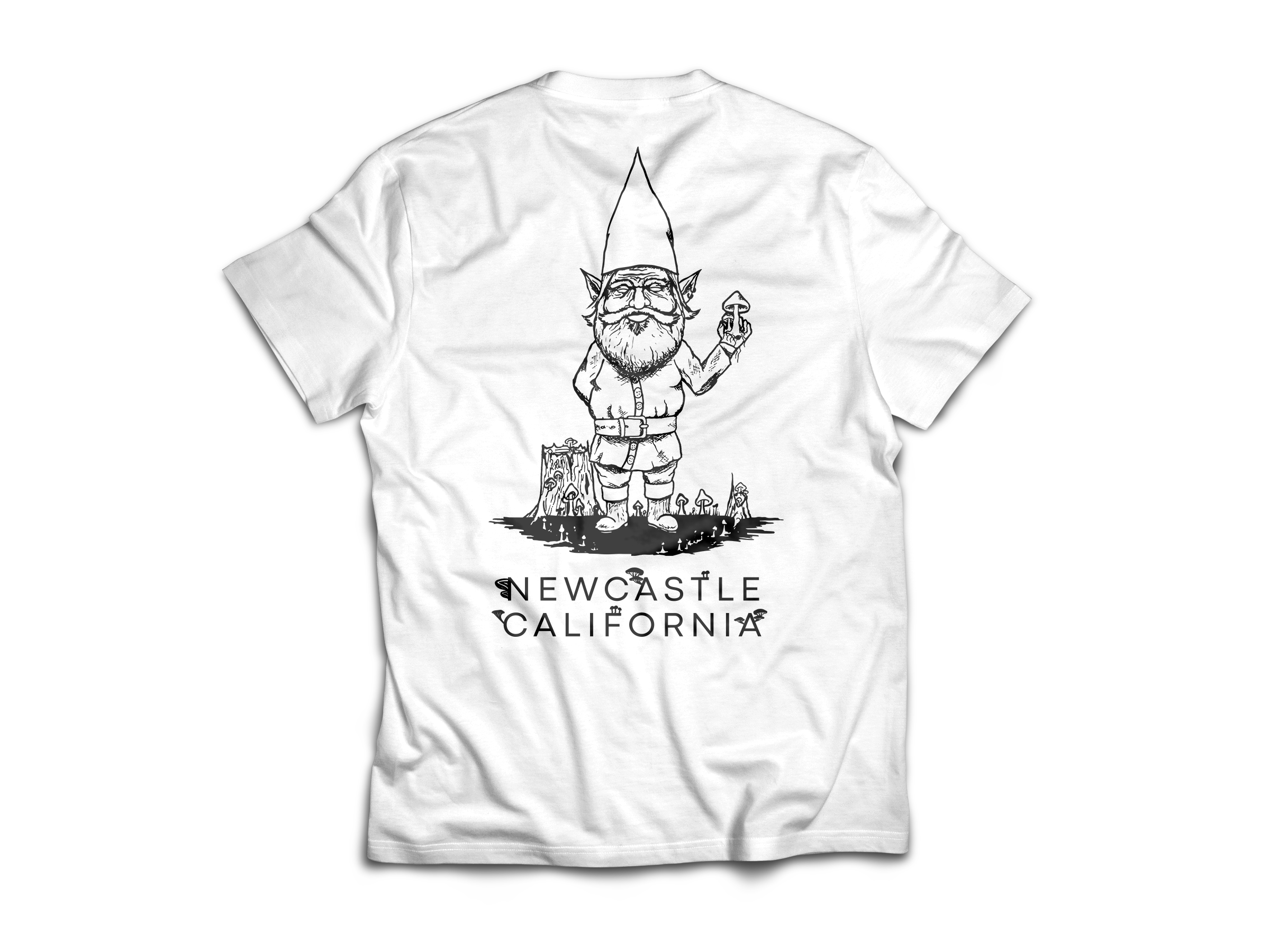 FDF Tee White Back copy.png