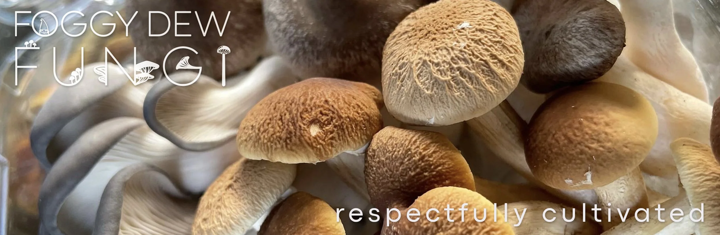 Web Banner Respectfully Cultivated.jpg