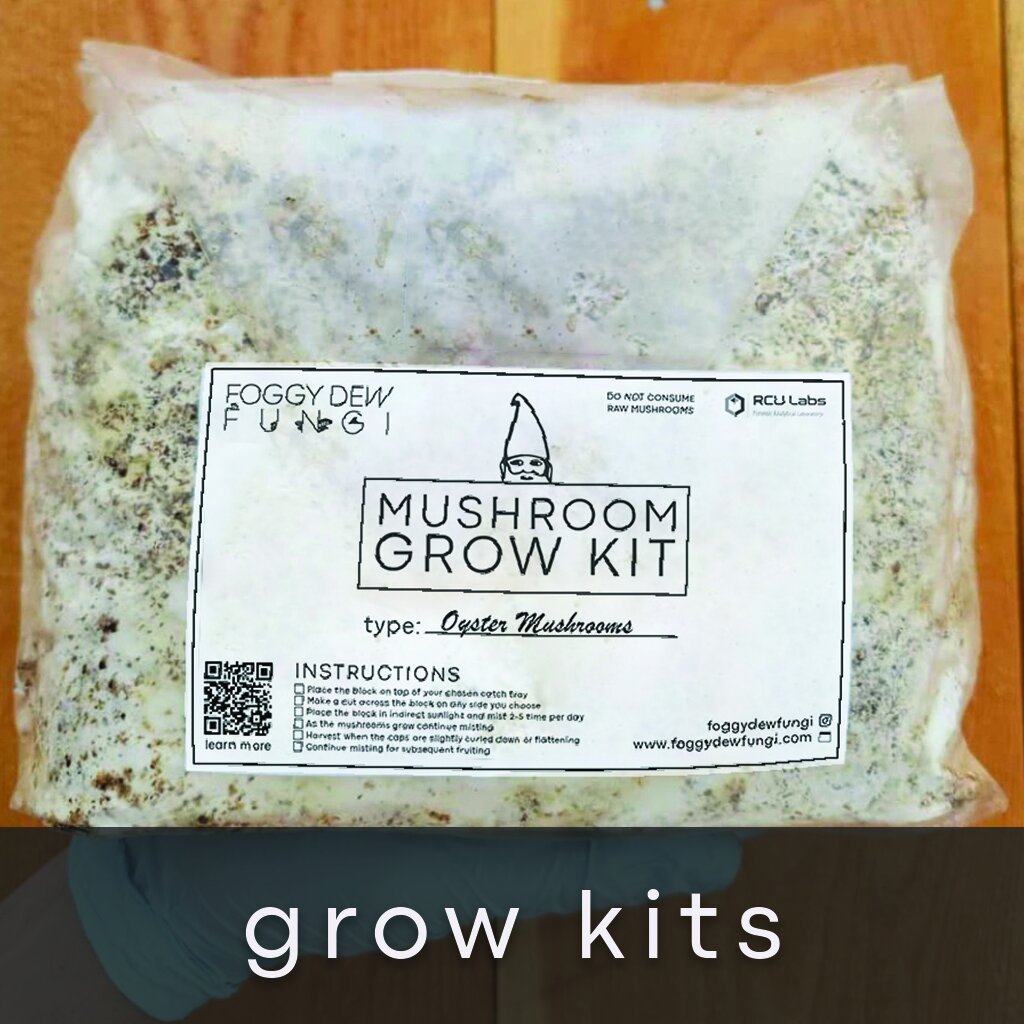 Home Page Square Images Grow Kits 5.jpg