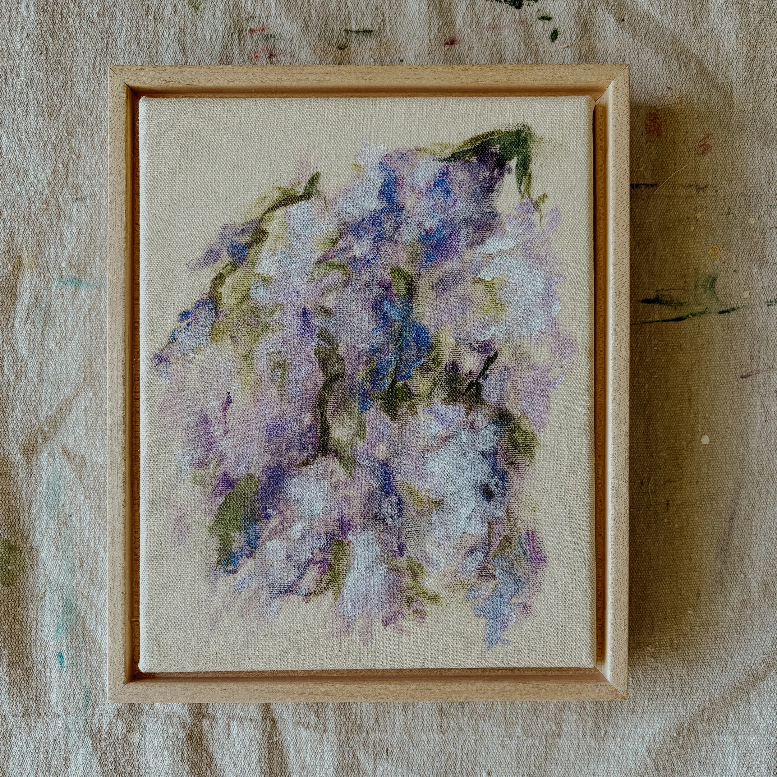 Wisteria
