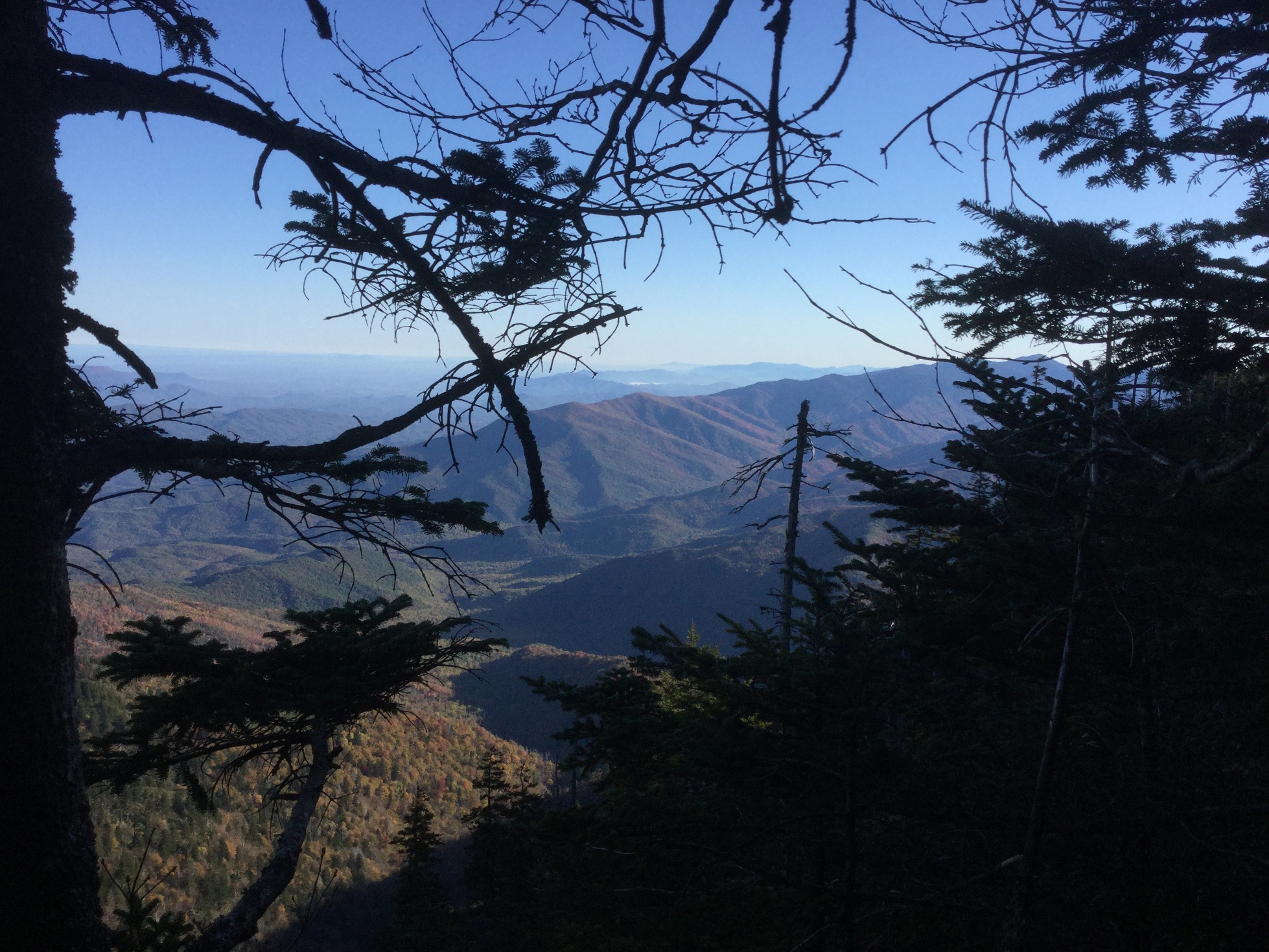 Mount LeConte Great Smoky Mountains 33.JPG