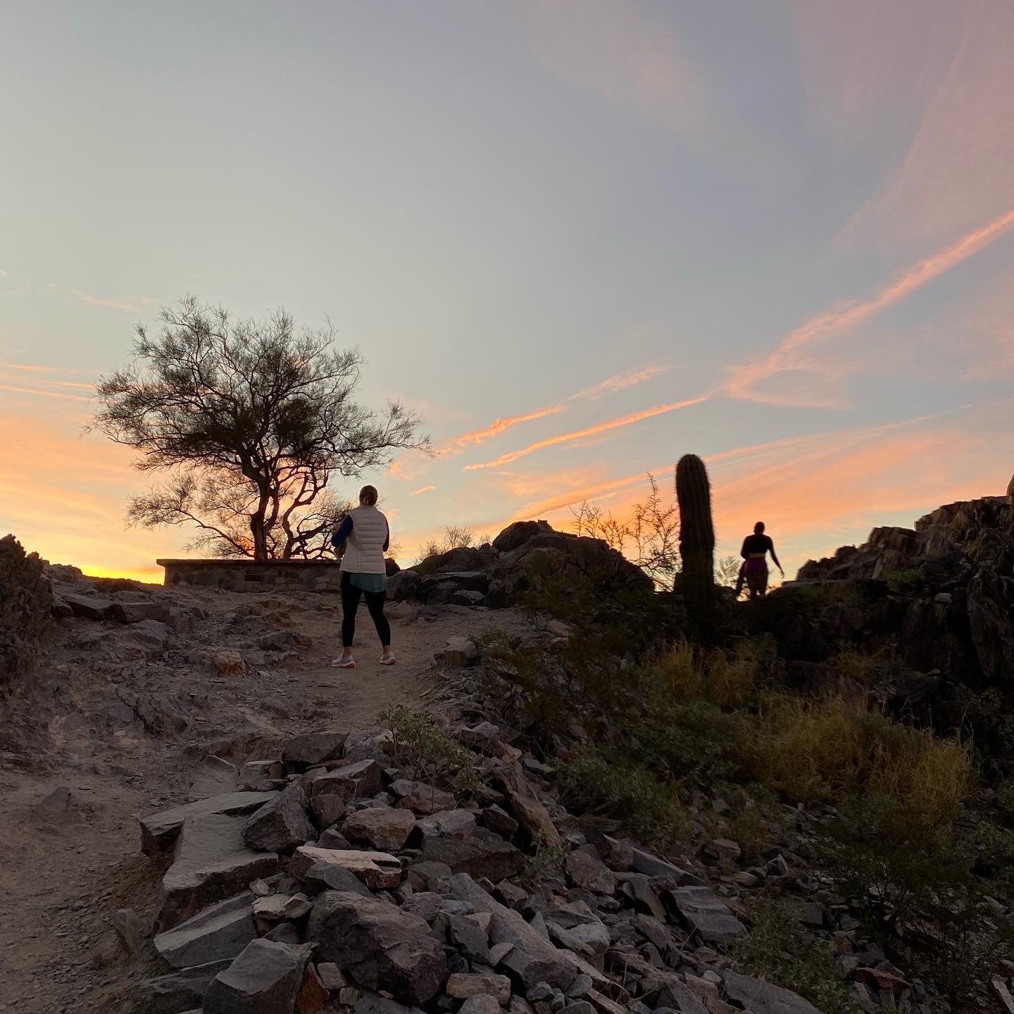 Arizona_Piestewa Peak sunrise hike 3.JPG