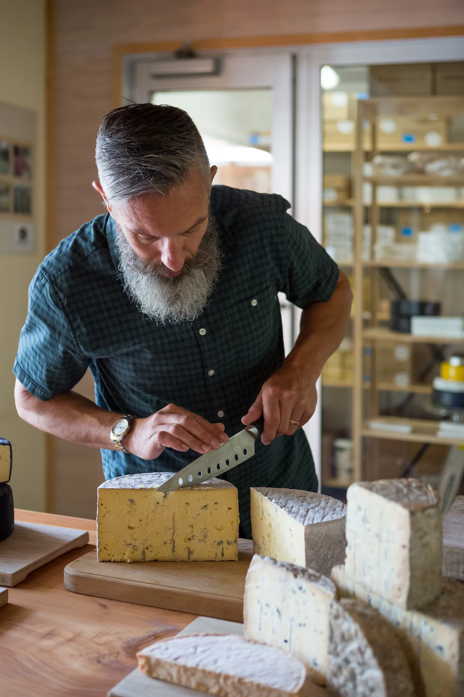 Puhoi Valley JAN2018_004.jpg