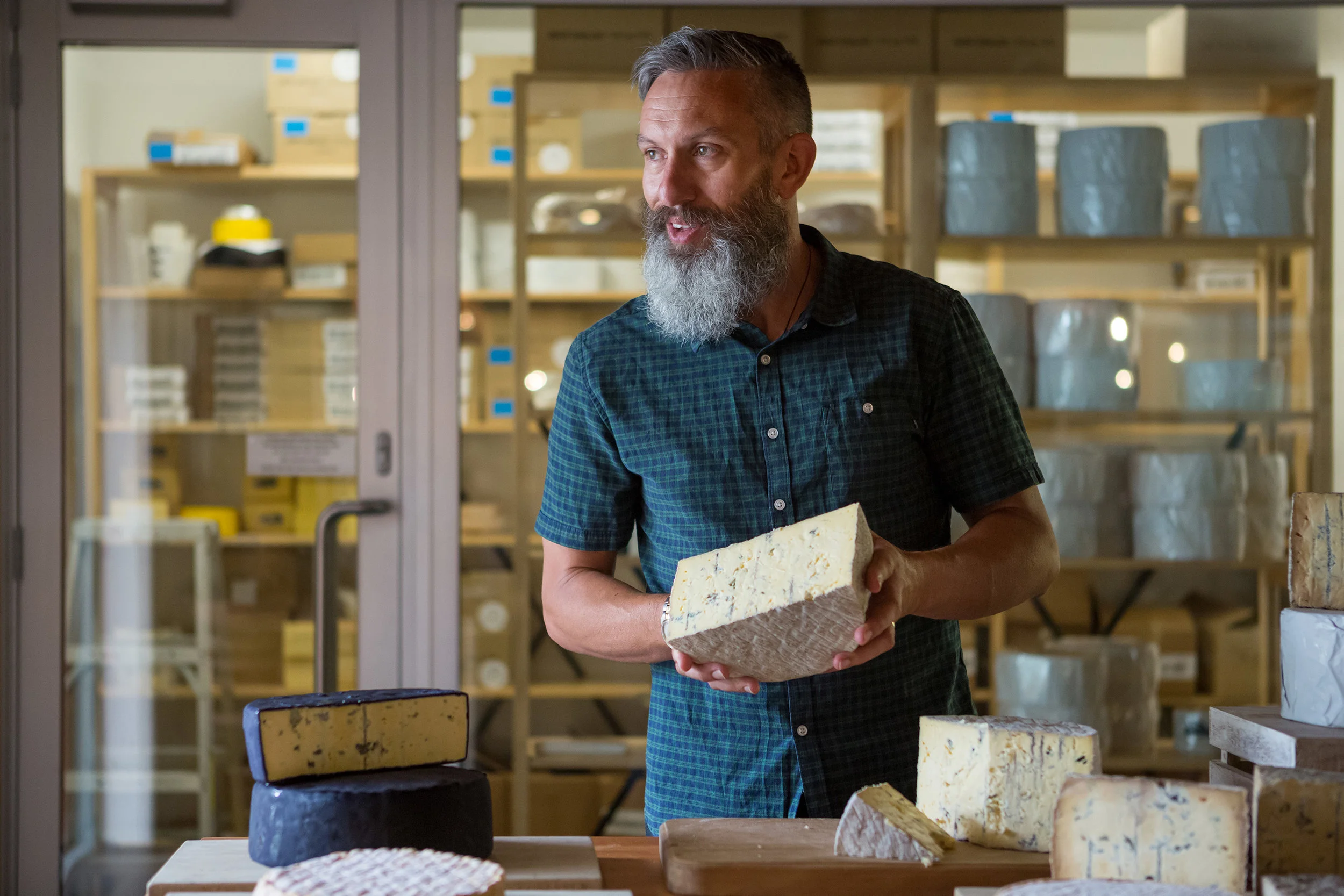 Puhoi Valley JAN2018_018.jpg