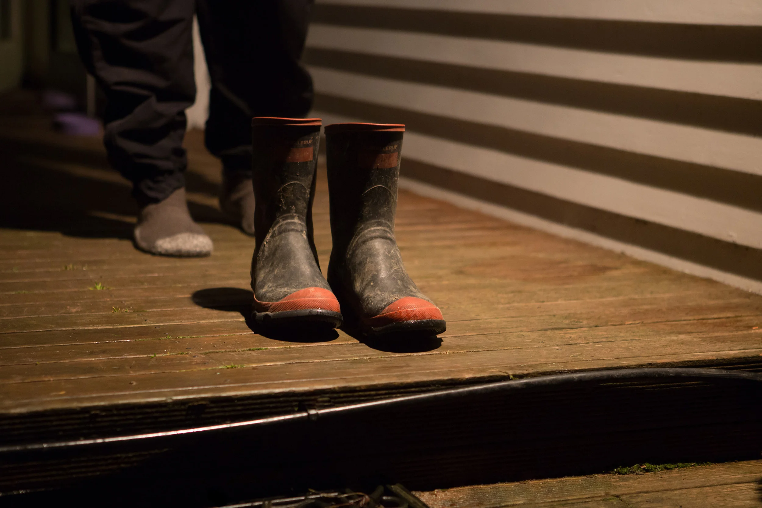 Matamata AUG 2016_011.jpg