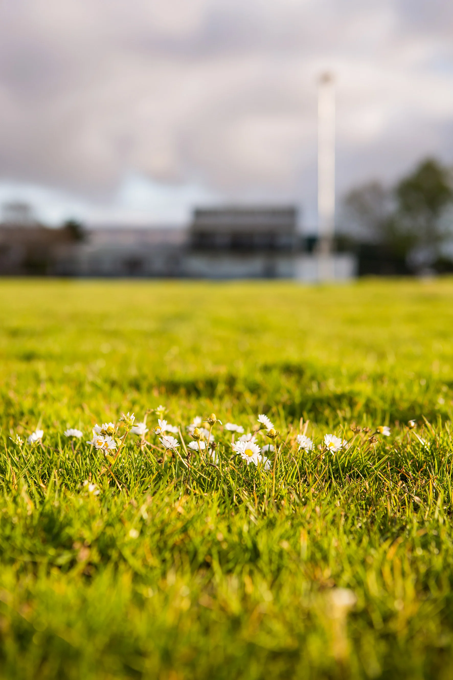 Tamora SEP 2017_149.jpg